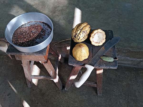 Zutataten und Hilfsmittel zur Schokoladenherstellung