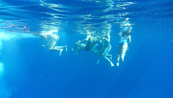 Schwimmen im blauen Atlantik 