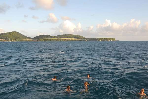 Schwimmen vor Martinique
