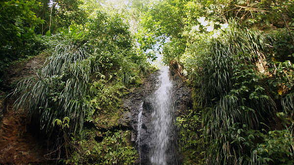 Wasserfall auf St. Lucia