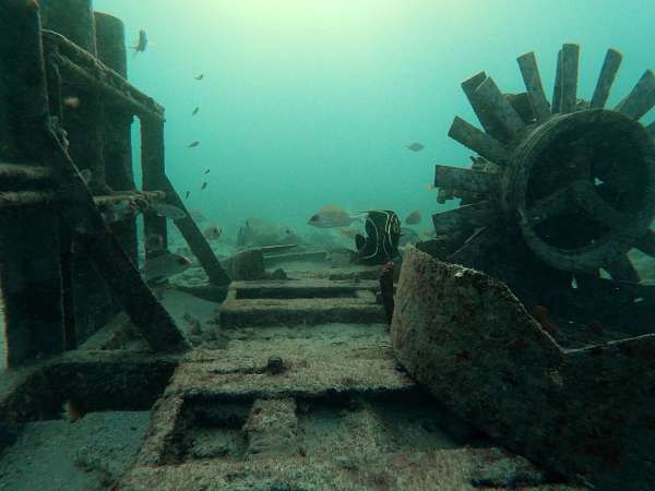 Die Unterwasserwelt vor Grenada