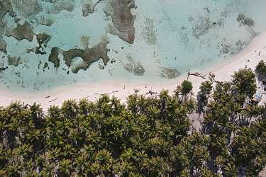 13.01.2022 | Paradise Reef San Blas Island / Panama © Saxi