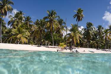 13.01.2022 | San Blas Island / Panama © Saxi