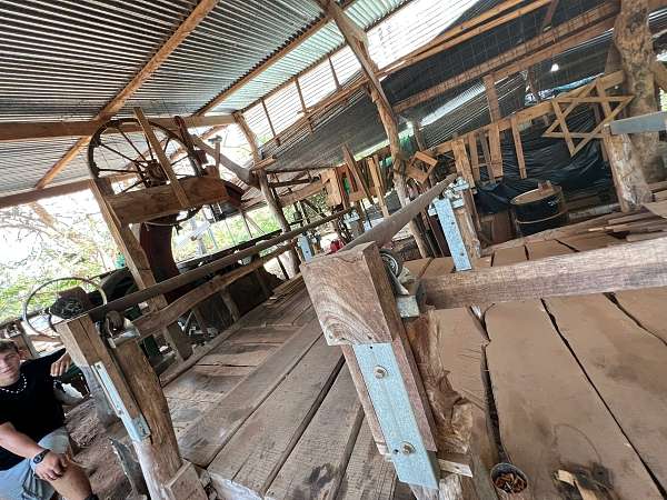 Hier werden die Holzbalken per Hand gebogen