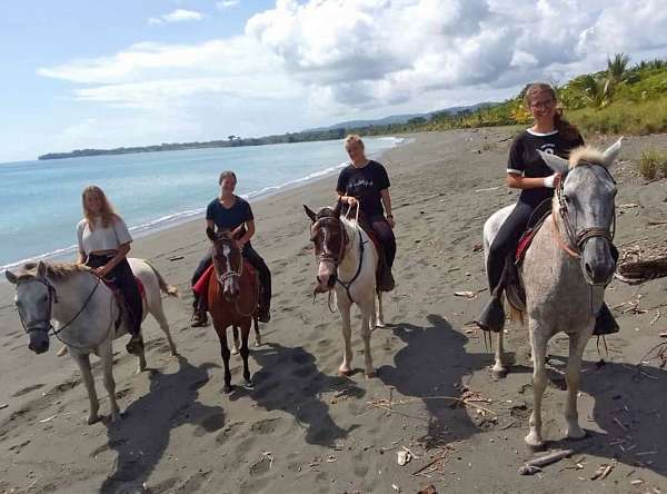  Reiten am Strand