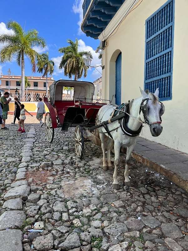 Viele Kutschen in Trinidad