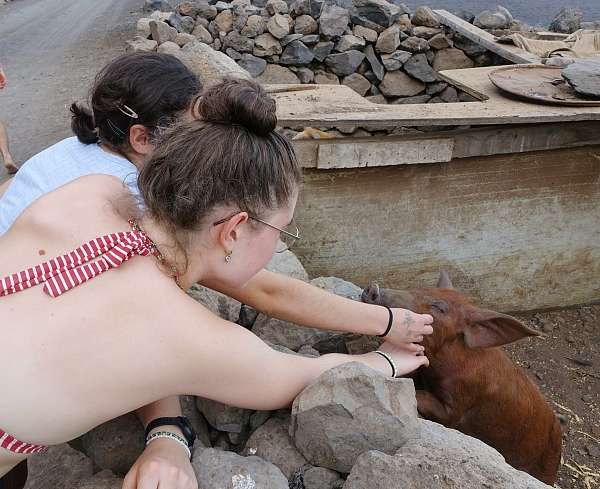 Lara und Millie und das Schwein auf Santo Antao