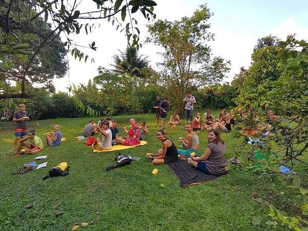 Obst-Picknick