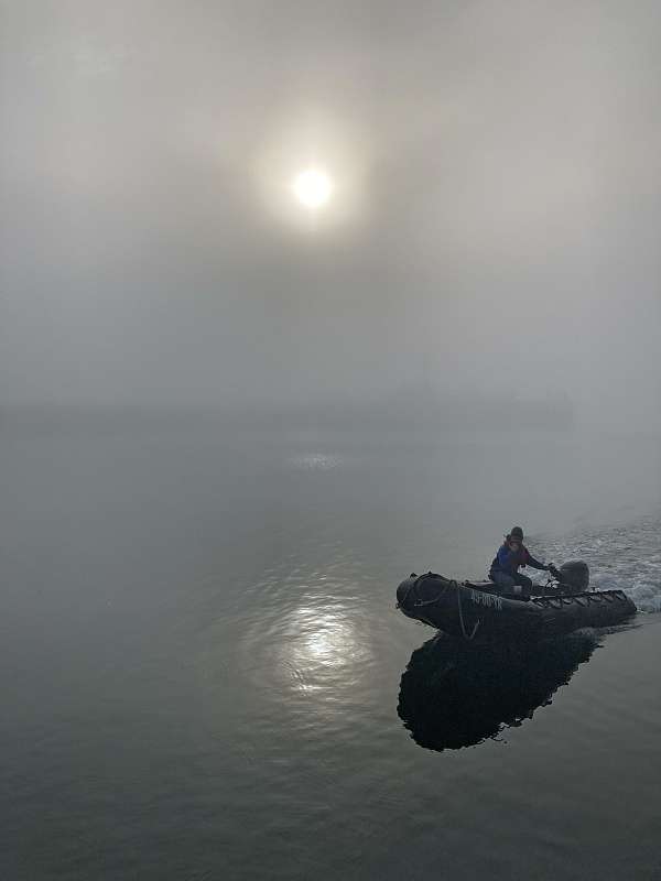 Cody fährt im Morgennebel unser Tender zurück zum Schiff