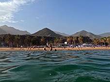 Hahnenkampf am Strand von Teneriffa