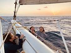 Lilly, Lilly und Greta im Netz