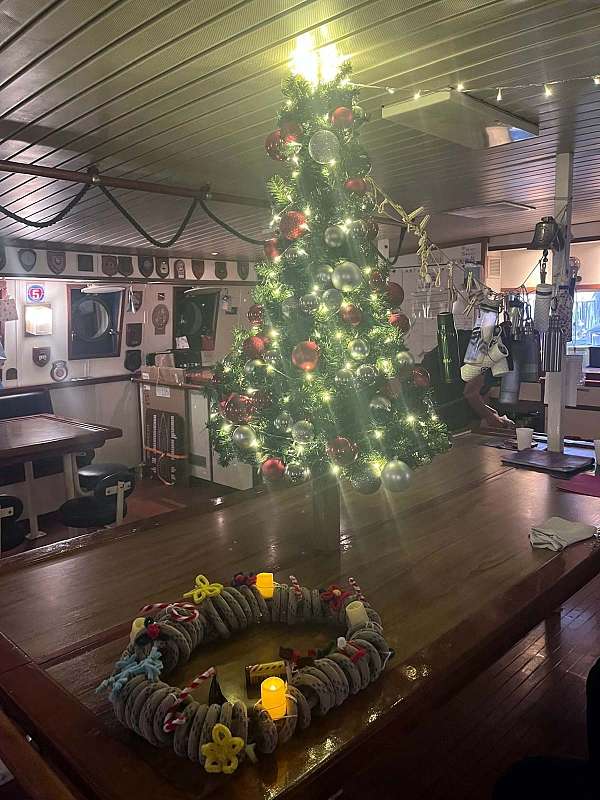 Unser Weihnachtsbaum