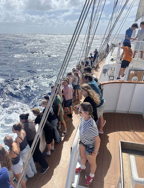 Die Orcas haben Publikum 