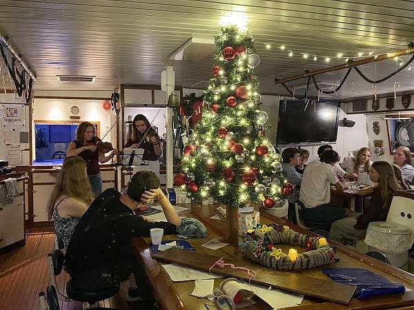  annah und Julia spielen auf der Geige in weihnachtlicher Atmosphaere