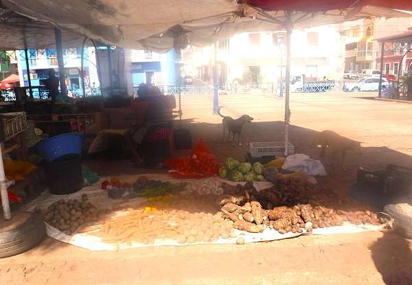 Markt in Mindelo mit Mutter, Kind und Straßenhunden