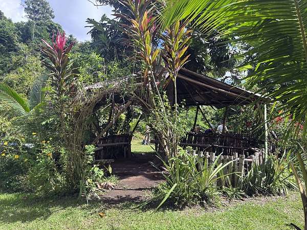 Unser cooler Campingplatz mitten im Regenwald