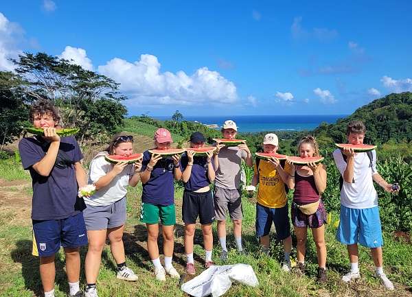 Wassermelone frisch vom Feld