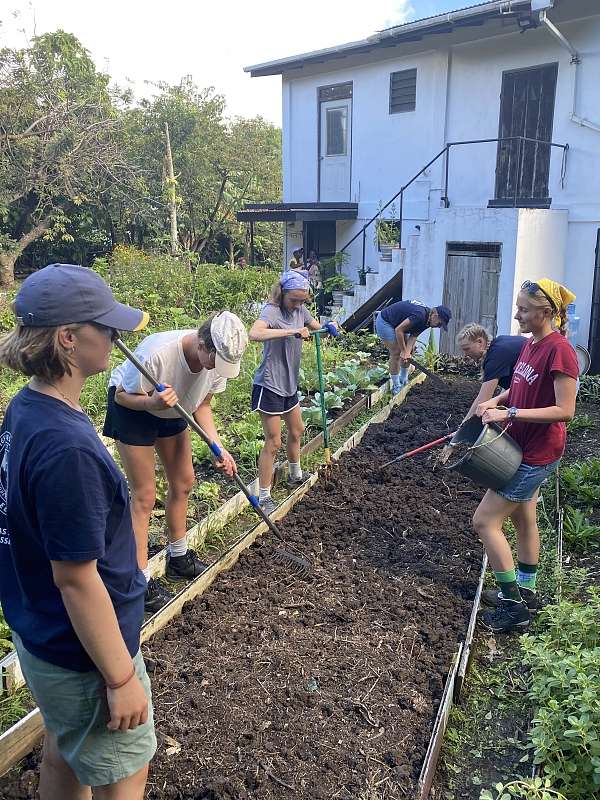 Kollektive Beetbearbeitung