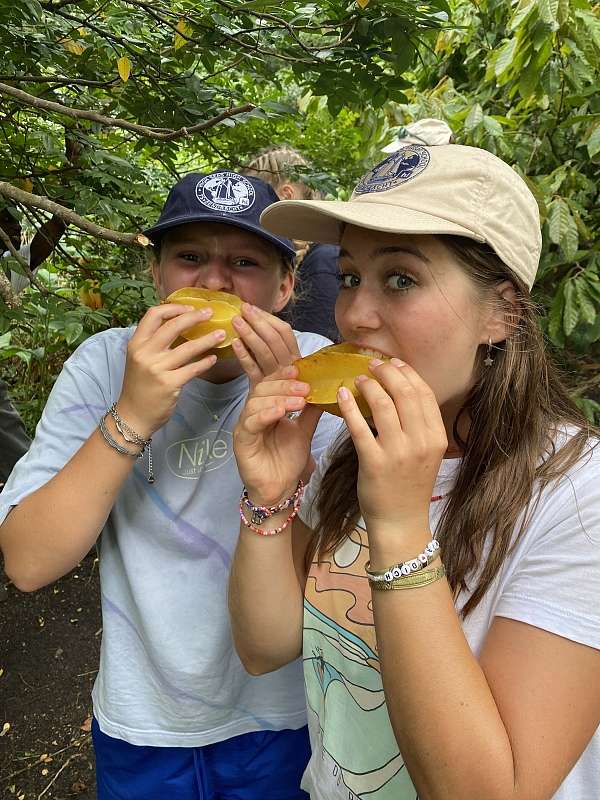 Sternfruchtverkostung