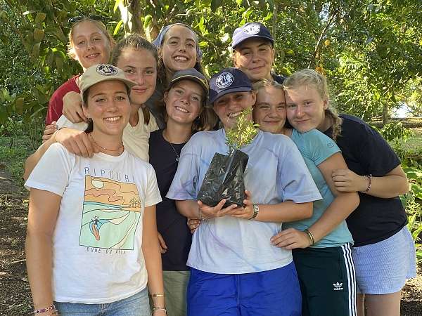 Unser Granatapfelbäumchen namens Godfred