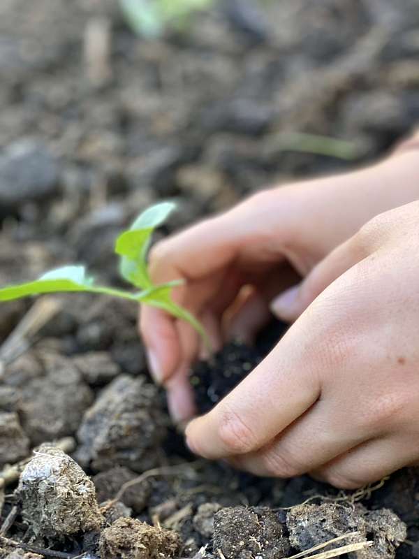 super satisfying work