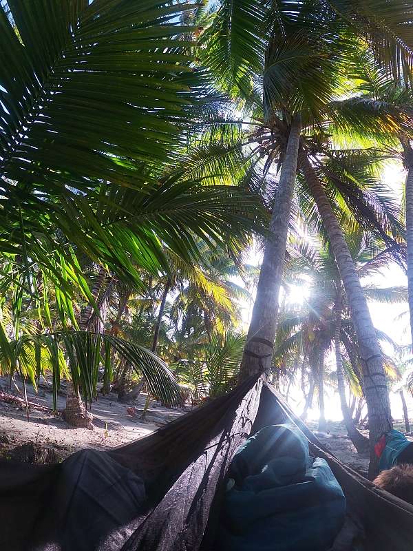 Hängematte unter Palmen