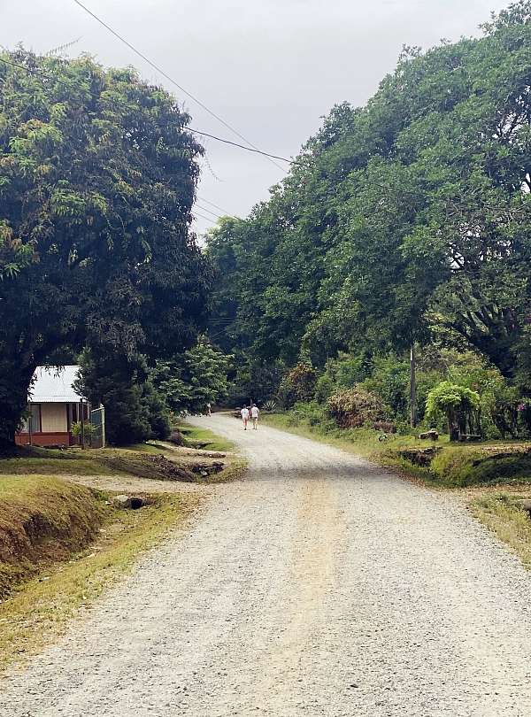 Die Strasse durch Longo Mai