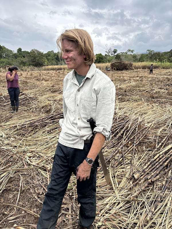 Hauke im Zuckerrohr © NN