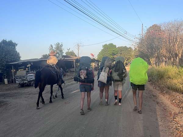 Cowboy, wir und die drei Fragezeichen