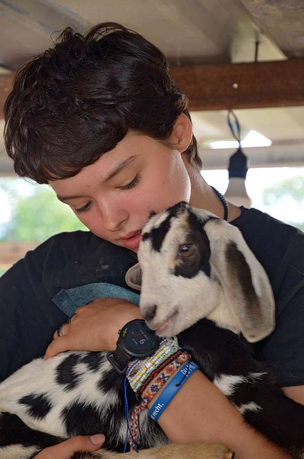 Luca, ueberglücklich mit einer Ziege