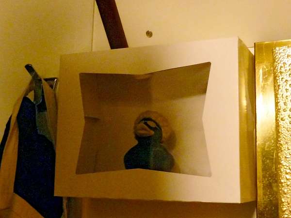 Ausgestellte Afro-Ente in Cabin 15