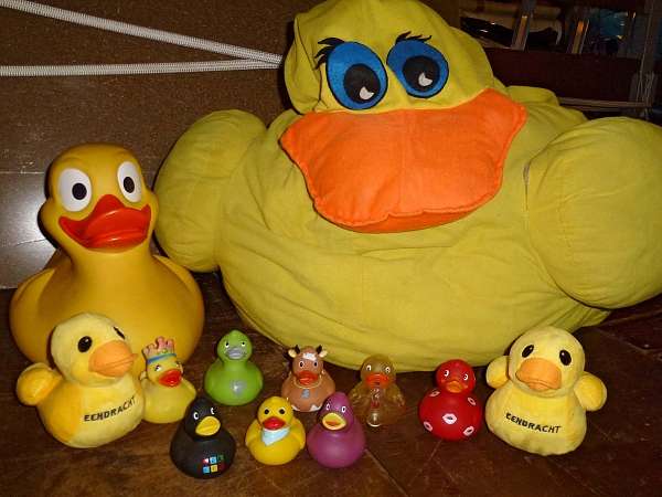 Enten finden ist nicht schwer, on the Eendracht they are everywhere!
