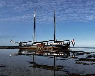 Die trocke gefallene Poolster