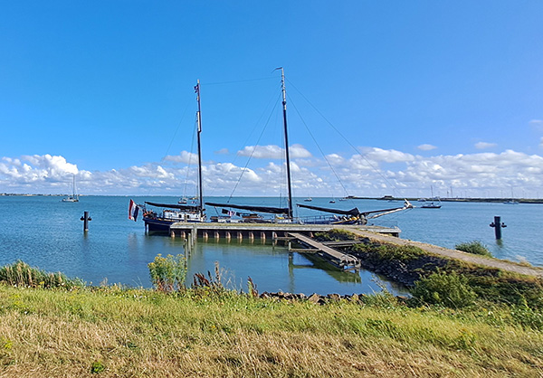Poolster in Kornwerderzand