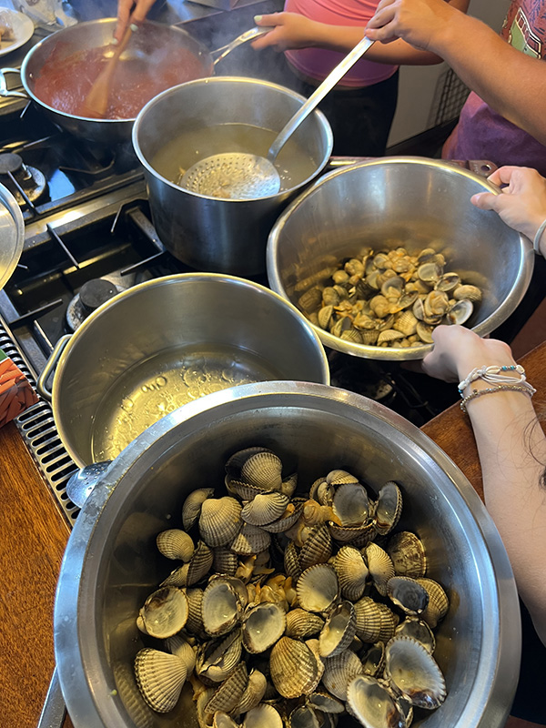 gekochte Muscheln