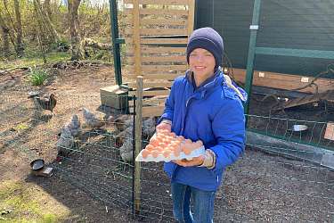 Huehner der Hermann Lietz Schule Spiekeroog 
