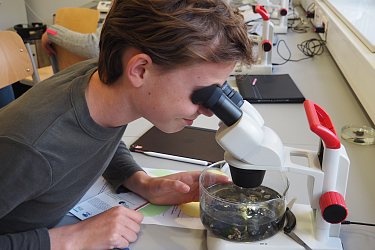 Lernlabor Wattenmeer Lietz Internat 3