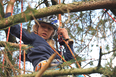 Baumklettern am Lietz-Internat