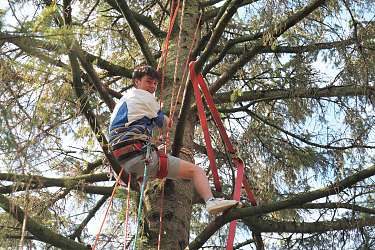 Baumklettern am Lietz-Internat