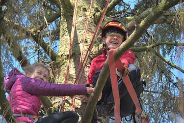 Baumklettern am Lietz-Internat