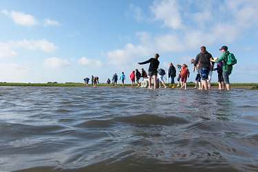 Sommer-Insel-Uni am Lietz-Internat auf Spiekeroog