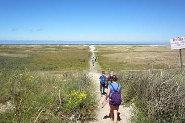 Sommer-Insel-Uni am Lietz-Internat auf Spiekeroog