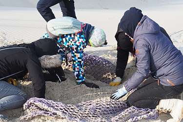 Strandmüll sammeln am Spiekerooger Strand