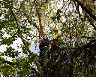 Baumklettern 2024 Lietz Internat