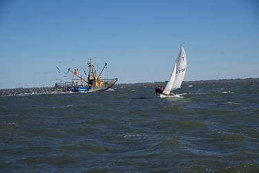 Absegeln 2025 am Lietz Internat