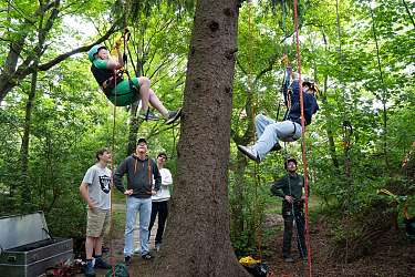 Baumklettern 2025 am Lietz Internat 3