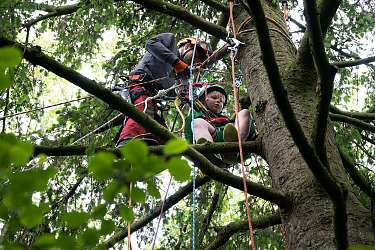 Baumklettern 2025 am Lietz Internat 7