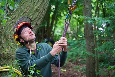 Baumklettern 2025 am Lietz Internat 9