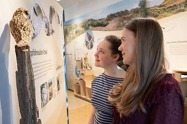 Ausstellungseröffnung im Wittbülten - Besucherinnen betrachten die Exponate