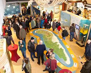 Ausstellungseröffnung im Wittbülten - Gäste betrachten die neue Ausstellung